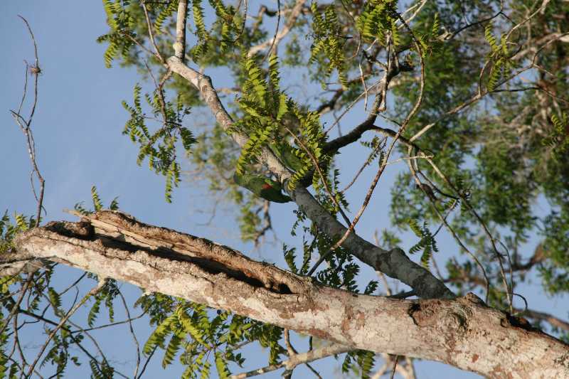 Mexico & Guatemala 2010 - 1055